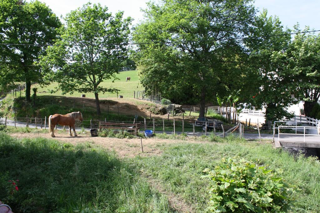 Location Eyheraldia - Votre T3 Au Coeur Du Pays Basque Hasparren Chambre photo
